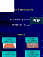 Tejidos Humanos