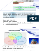 Prin Sosten Ambiental