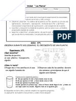 Plantas Unidad de aprendizaje con guías de observación y estructura