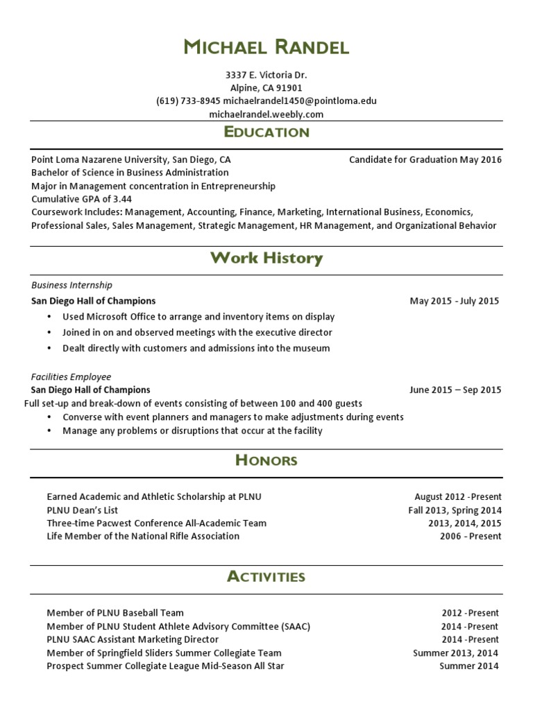 Michael Randel's Business Resume | PDF