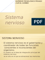 Diapositiva Sistema Nervioso