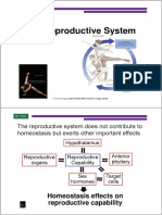 Physiology of Reproduction