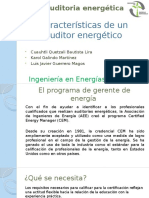 Características de Un Auditor Energético