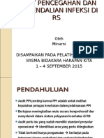 Audit Ppi Minarni