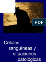 Celulas Sanguineas. GB y PLT. PG 15-16