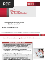 Seminários Dupont - Cultural e Gestão Riscos