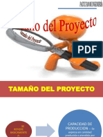 Tamaño-del-proyecto.pdf