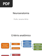  Neuroanatomia - Aula 6