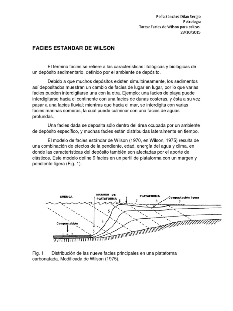 Facies Estandar de Wilson | PDF | playa | lago