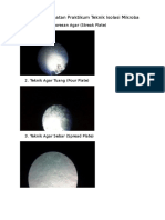 Data Pengamatan Praktikum Teknik Isolasi Mikroba