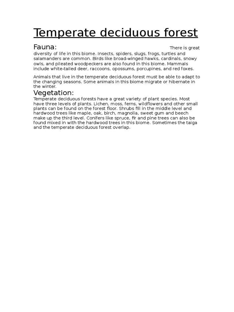 Temperate Deciduous Forest | PDF