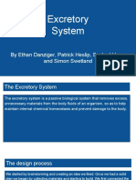 excretory presentation 