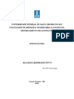 Manejo reprodutivo de suínos para maior produtividade