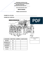 -6o-Diagnostico-2013