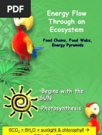 Download Energy Flow Through an Ecosystem Presentation by misterbrowneryahoocom SN3071332 doc pdf