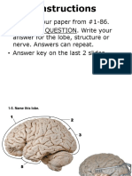 Nervous System Practice Assignment