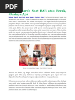 Download Keluar Darah Saat BAB Atau Berak Obatnya Apa by wawan wijanarko SN307145124 doc pdf