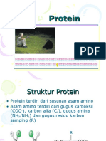 Protein 12009