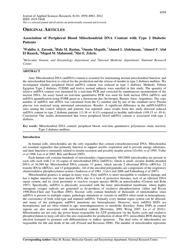 Facebook identity essay