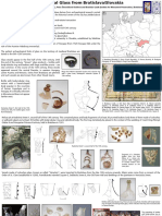 Medieval Glass from Bratislava Reveals Trade Networks