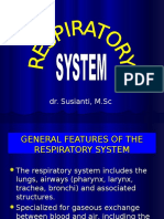 Respiratory System Ss
