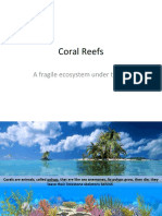 Coral Reefs: A Fragile Ecosystem Under Threat