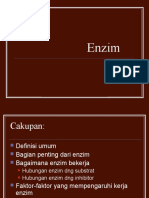 Enzim