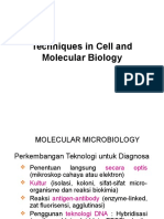 Techniques in Cell and Molecular Biology, Bm1