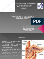 Pancrea y Suprarrenal.