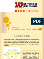 0.-CICLO DE KREBS.pptx
