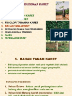 IV  PEMBIBITAN KARET.ppt