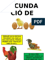 Fecundació de L'ou