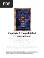 Capítulo 2: Complejidad Organizacional