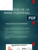 Patología de La Mama Puerperal