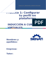 Practica 1 Config Perfil DPRL