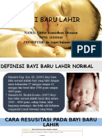 Bayi Baru Lahir