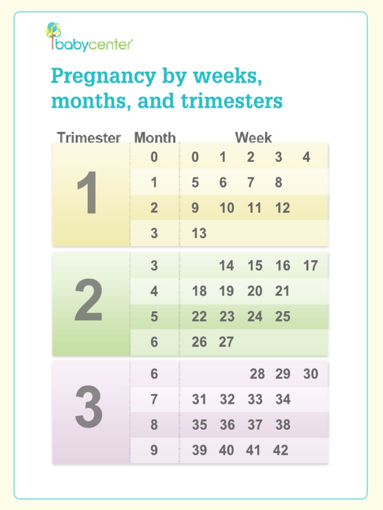 Pregnancy Timeline Guide | PDF