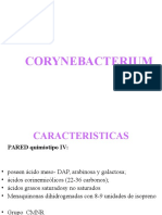 CORYNEBACTERIUM