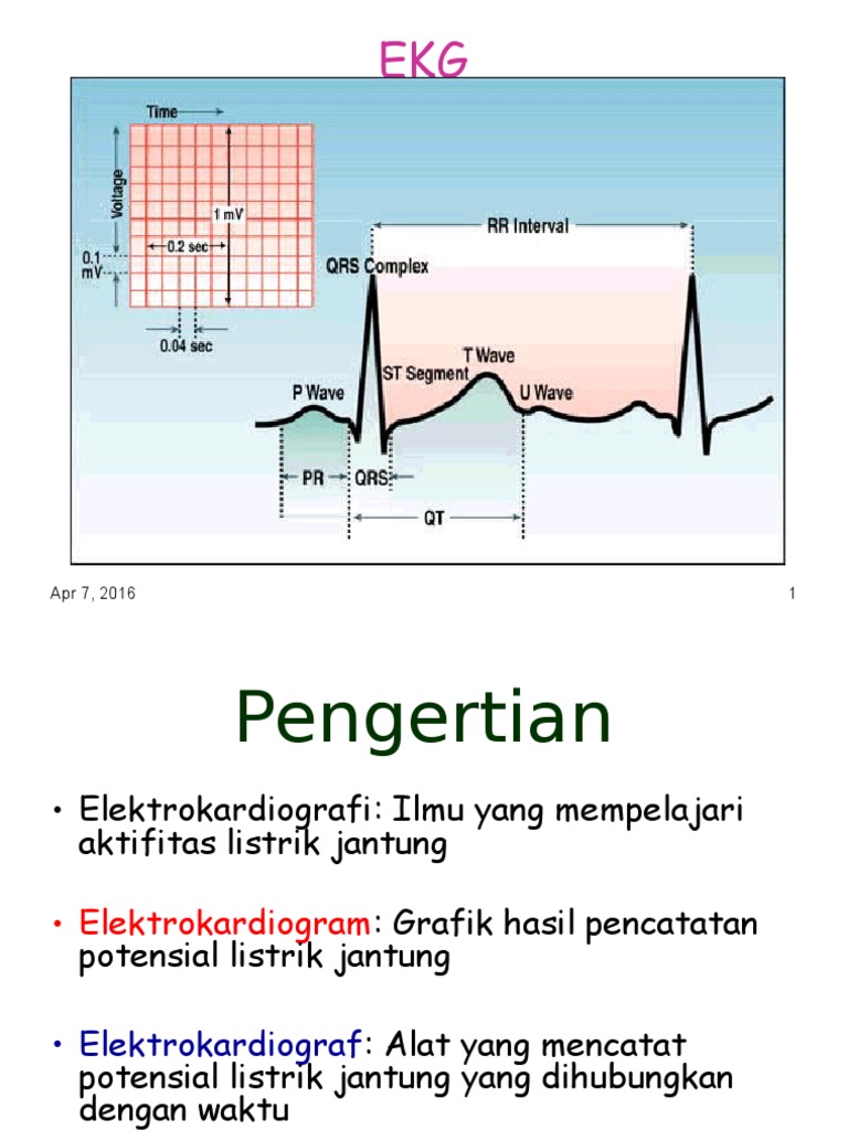 ekg.ppt