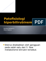 Patofisiologi Hiperbilirubinemia