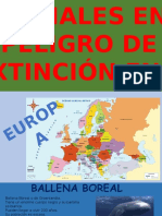 Animales en Peligro de Extinción