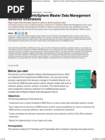 Implementing InfoSphere Master Data Management Behavior Extensions