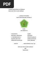 Download Laporan Fitokima Repaired by Nurfadhila Sodil SN307319565 doc pdf