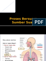 Proses Bersuara, Sumber Suara