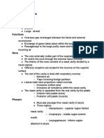 Respiratory System Notes