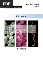 1. Célula
