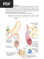 Download METABOLISME KOLESTEROL by Shinichi Kudo Kun SN307328975 doc pdf