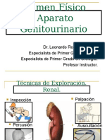 Examen Fisico Del Sistema Genitourinario