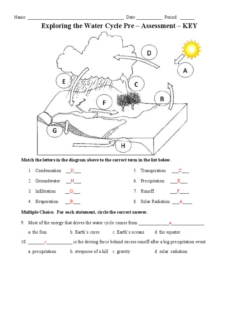 exploring the water cycle pre-post assessment key  Water Cycle Intended For Water Cycle Worksheet Answer Key