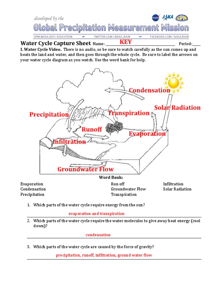 Exploring The Water Cycle Scs Key  PDF  Evaporation  Water Cycle In The Water Cycle Worksheet Answers